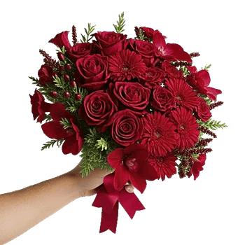 Crimson Rose Elegance