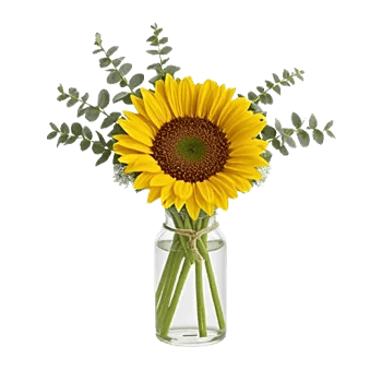 Radiant Bloom Cascade