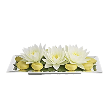 Graceful Lily Display