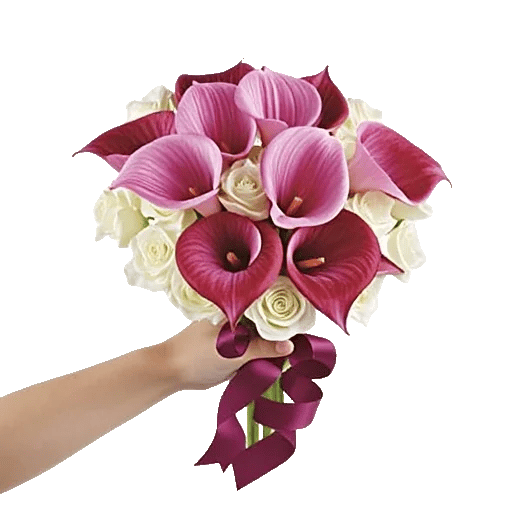 Elegant Calla Lilies