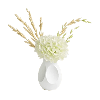 Minimalist White Orchids