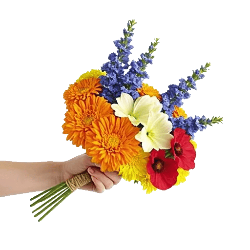 Vibrant Orange Delight