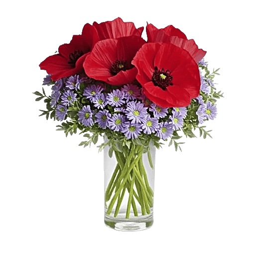 Petal Radiance Bliss