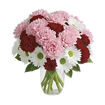 Petal Radiance Bliss