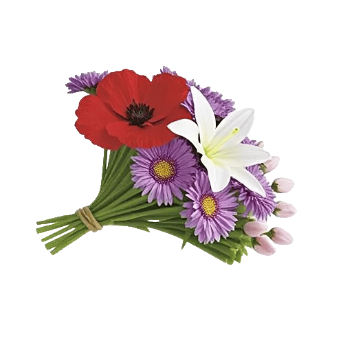 Blossom Petal Serenity