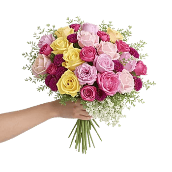 Petal Grace Harmony