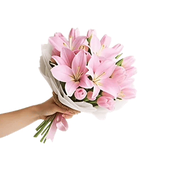 Blossom Harmony Display