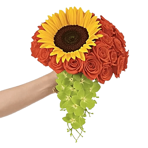 Radiant Bloom Cascade