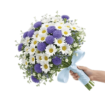 Serene Petal Harmony