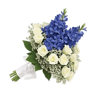 Blossom Petal Serenity