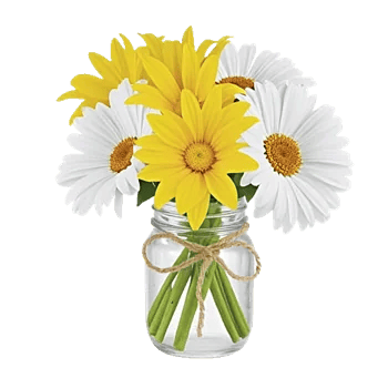 Petal Radiance Bliss