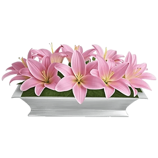 Graceful Lily Display