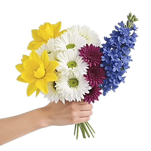 Blossom Harmony Display