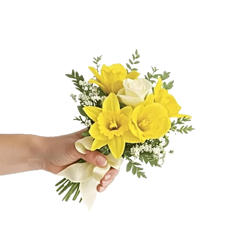 Minimalist White Orchids