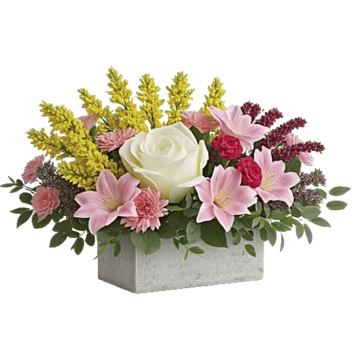Delicate Petal Cascade