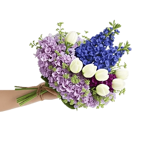 Blossom Petal Serenity