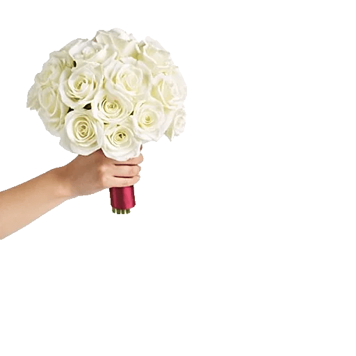 Elegant Calla Lilies