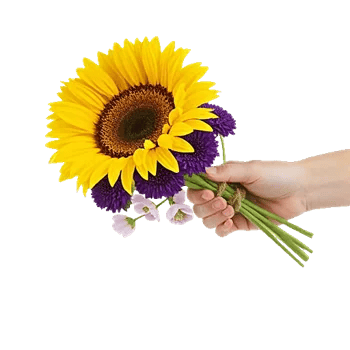 Twinkling Sunflower Dance