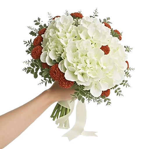 Delicate Petal Cascade
