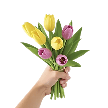 Blossom Harmony Display