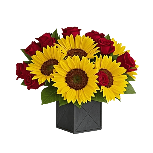 Radiant Bloom Cascade