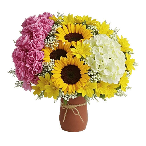 Petal Radiance Bliss