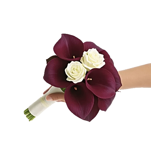 Elegant Calla Lilies