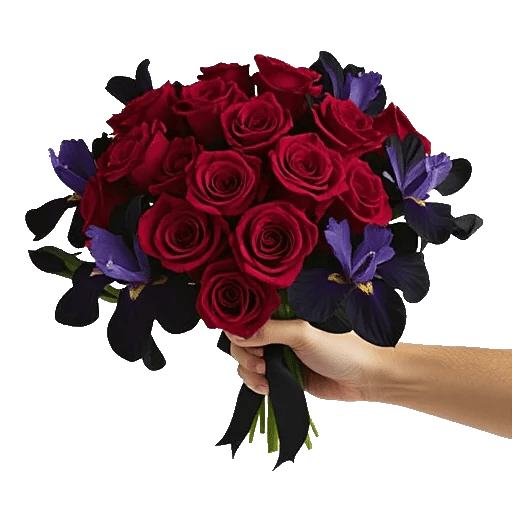 Crimson Rose Elegance