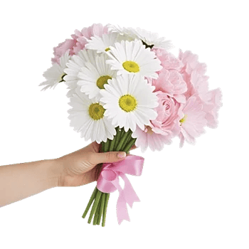 Coral Blossom Harmony