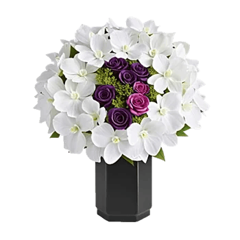 Modern White Orchids