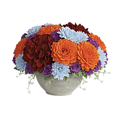 Petal Radiance Bliss