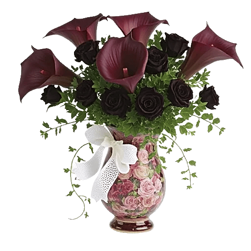 Elegant Calla Lilies