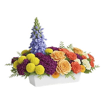 Blossom Petal Serenity