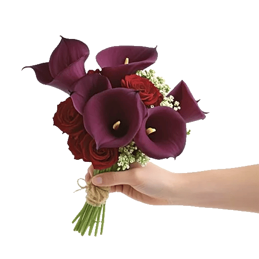 Elegant Calla Lilies