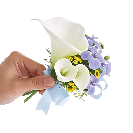 Elegant Calla Lilies