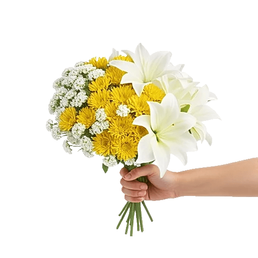 Blossom Harmony Display