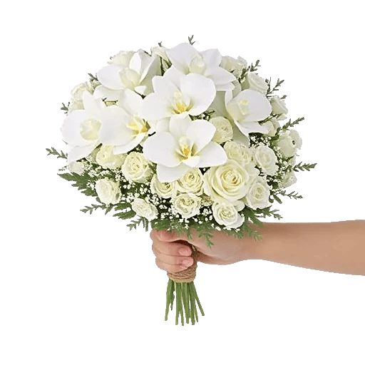 Minimalist White Orchids