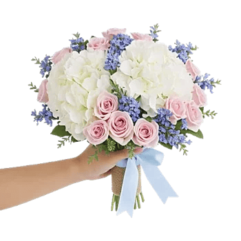 Pastel Blossom Grace
