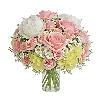 Ivory Blossom Radiance