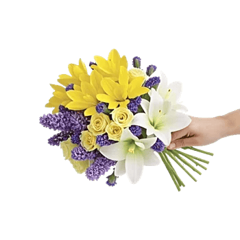 Blossom Harmony Display