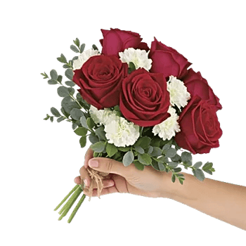 Crimson Rose Elegance