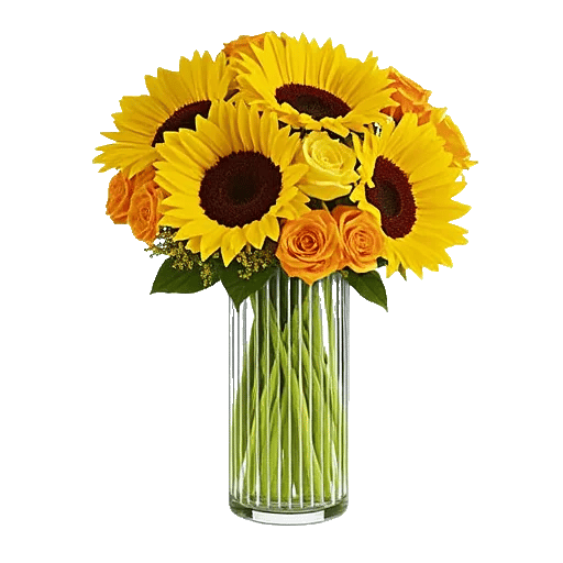 Golden Bloom Radiance