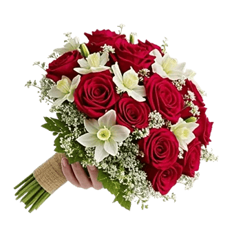 Crimson Rose Elegance