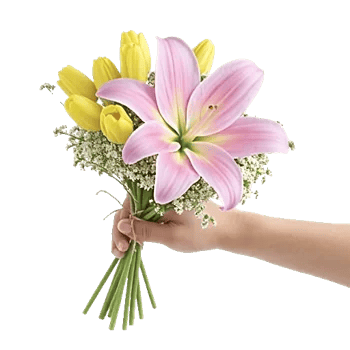 Blossom Harmony Display