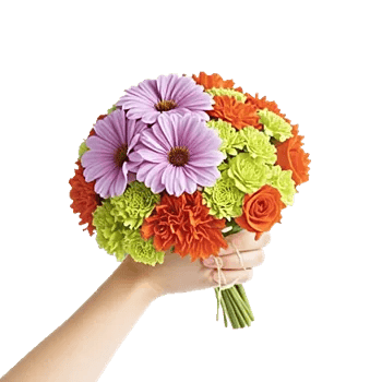 Blushing Rose Symphony