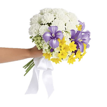 Delicate Petal Cascade