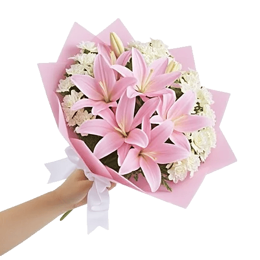 Blossom Harmony Display