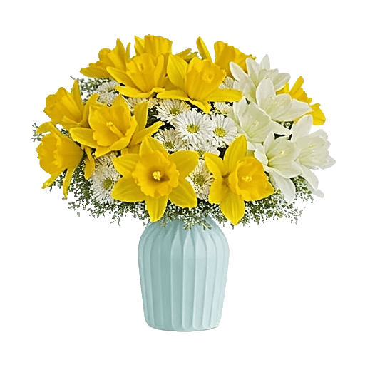 Petal Radiance Bliss