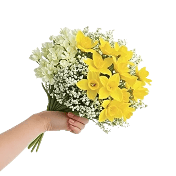 Blossom Harmony Display