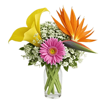 Elegant Calla Lilies